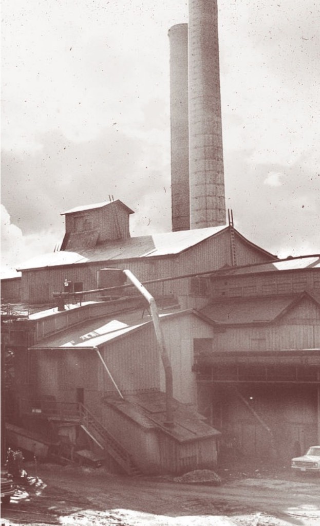 Archival photograph of the Packard sawmill with twin smokestacks