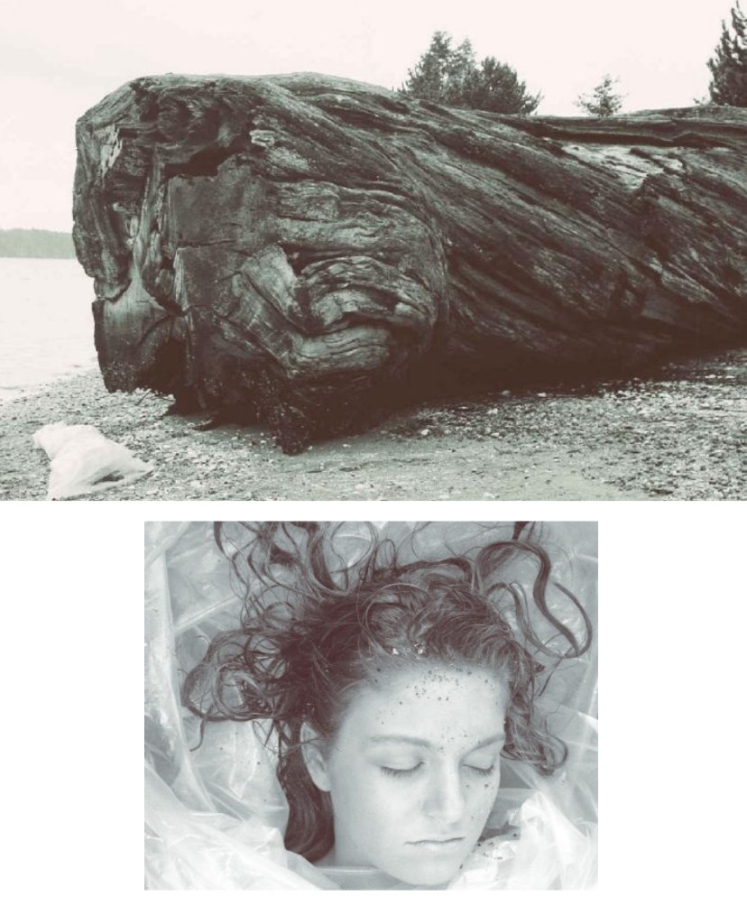 Shore discovery: body in plastic by the driftwood log; close-up of Laura’s face wrapped in plastic