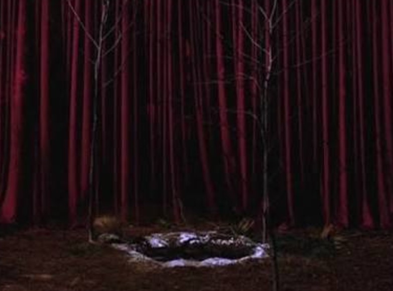 Glastonbury Grove — red curtains behind the oil pool between sycamores