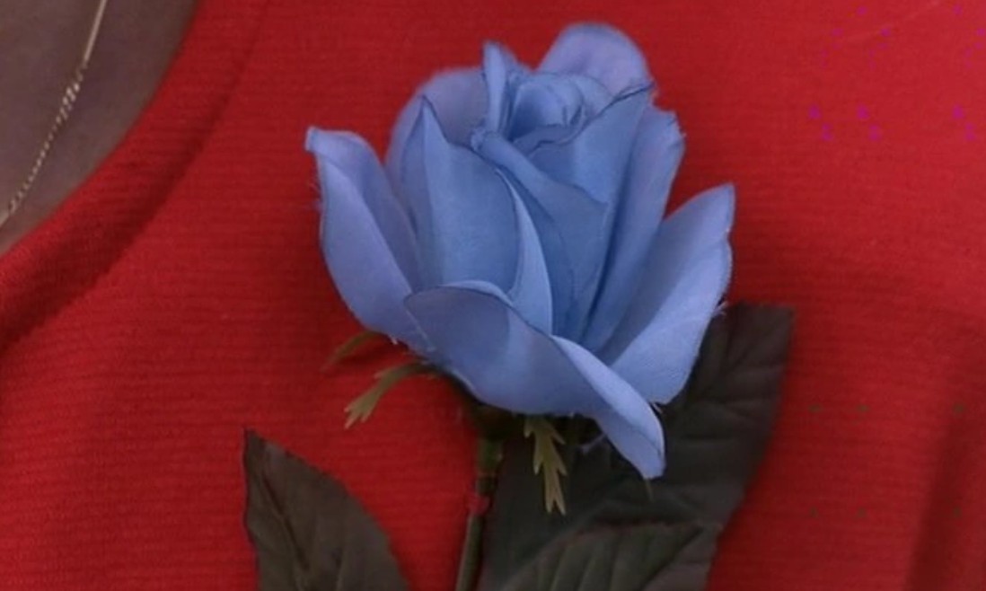 Blue rose
