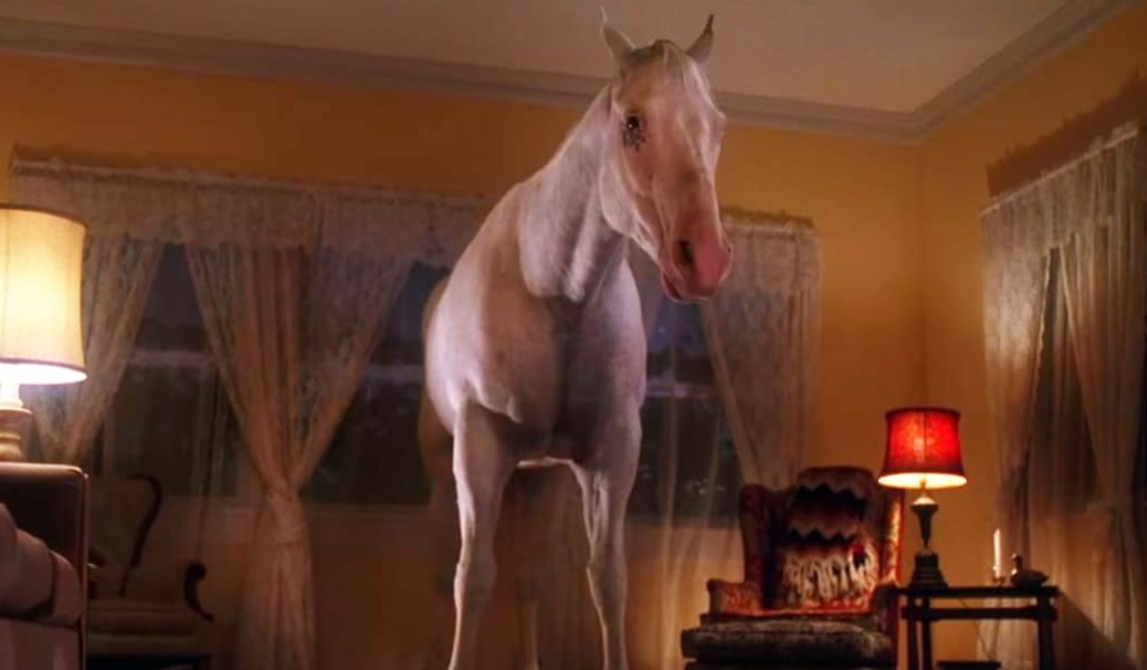 White horse vision